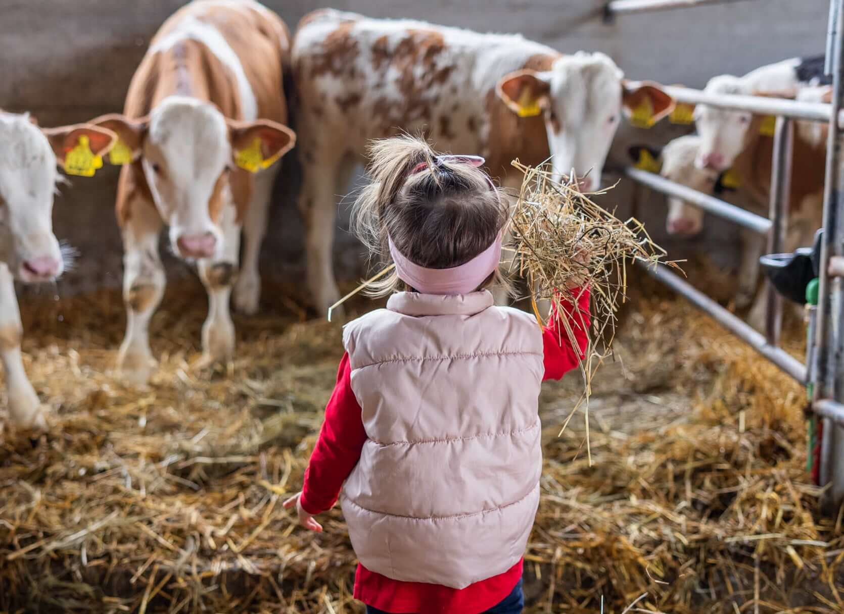 Skoro 50 posto naših farmera mala su obiteljska gospodarstva